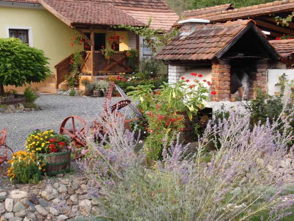 Country House Stara Kapela Nova Kapela Exterior photo